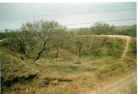 4.八里城遗址北瓮城.JPG